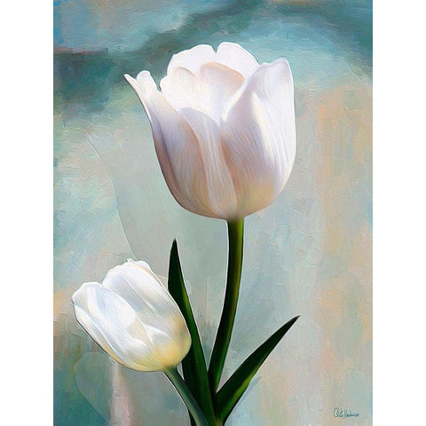 White Tulip Black Modern Wood Framed Art Print by Medeiros, Celito