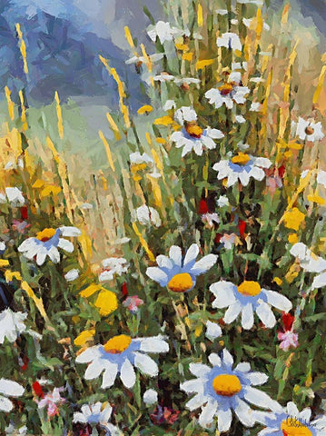 Many White Daisies II Black Ornate Wood Framed Art Print with Double Matting by Medeiros, Celito