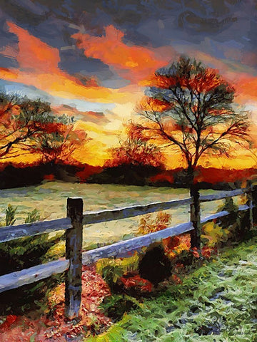 Sunset over the Pond behing the Fence Black Ornate Wood Framed Art Print with Double Matting by Medeiros, Celito