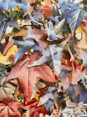 Colorful Autumn Leaves Black Ornate Wood Framed Art Print with Double Matting by Medeiros, Celito
