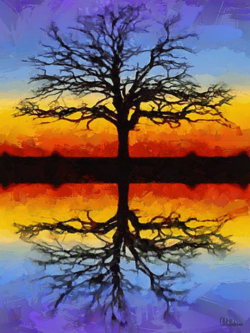 Mirroring Tree Black Ornate Wood Framed Art Print with Double Matting by Medeiros, Celito