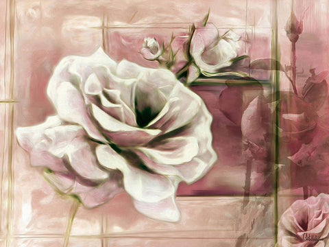 Rose with Pink Background Black Ornate Wood Framed Art Print with Double Matting by Medeiros, Celito