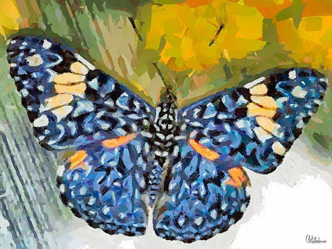 Butterfly Wings V White Modern Wood Framed Art Print with Double Matting by Medeiros, Celito