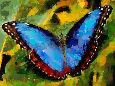 Butterfly Wings VI Black Ornate Wood Framed Art Print with Double Matting by Medeiros, Celito