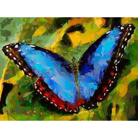 Butterfly Wings VI Black Modern Wood Framed Art Print by Medeiros, Celito