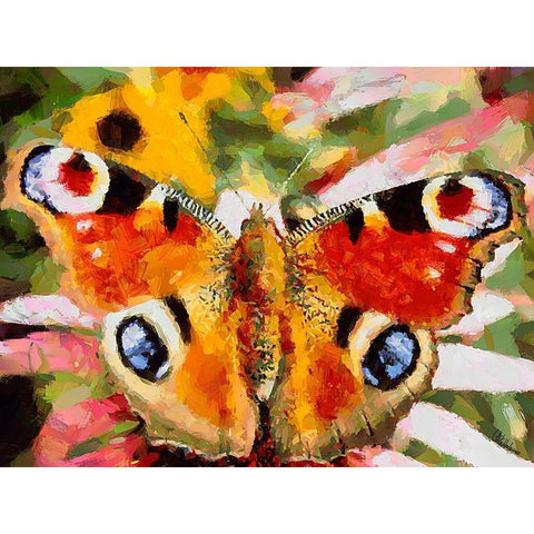 Butterfly Wings VII Black Modern Wood Framed Art Print with Double Matting by Medeiros, Celito