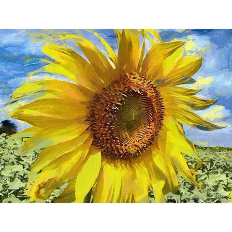 An Sunflowers White Modern Wood Framed Art Print by Medeiros, Celito