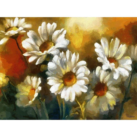 Daisies Black Modern Wood Framed Art Print with Double Matting by Medeiros, Celito