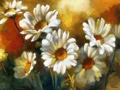 Daisies White Modern Wood Framed Art Print with Double Matting by Medeiros, Celito