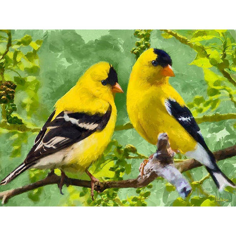 Bird Song I White Modern Wood Framed Art Print by Medeiros, Celito