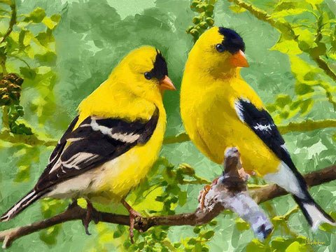 Bird Song I White Modern Wood Framed Art Print with Double Matting by Medeiros, Celito