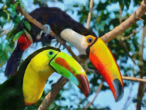 Two Tucans Black Ornate Wood Framed Art Print with Double Matting by Medeiros, Celito