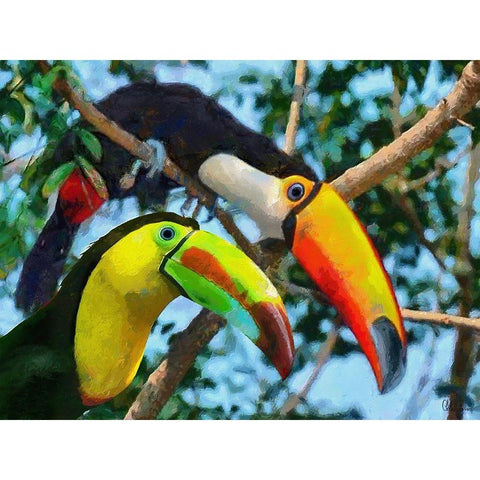 Two Tucans Black Modern Wood Framed Art Print by Medeiros, Celito