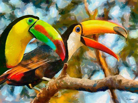 Tucans White Modern Wood Framed Art Print with Double Matting by Medeiros, Celito