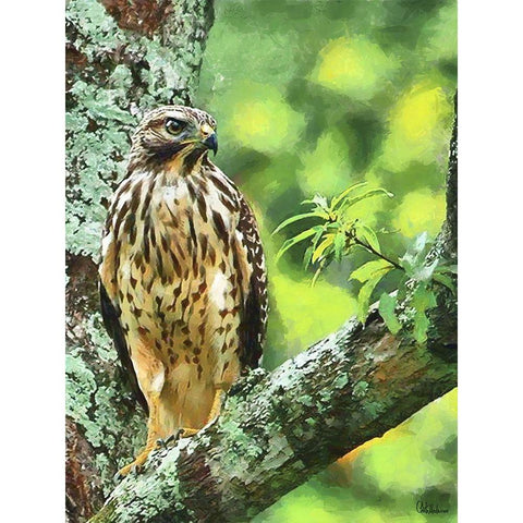 Falcon Gold Ornate Wood Framed Art Print with Double Matting by Medeiros, Celito