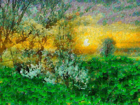 Sunrise over the Meadow White Modern Wood Framed Art Print with Double Matting by Medeiros, Celito