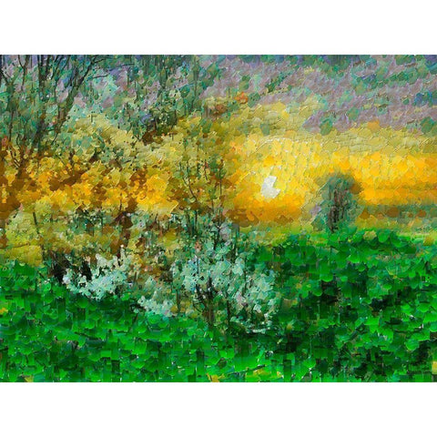 Sunrise over the Meadow Black Modern Wood Framed Art Print by Medeiros, Celito
