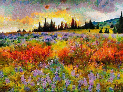 Sunset over the Meadow White Modern Wood Framed Art Print with Double Matting by Medeiros, Celito