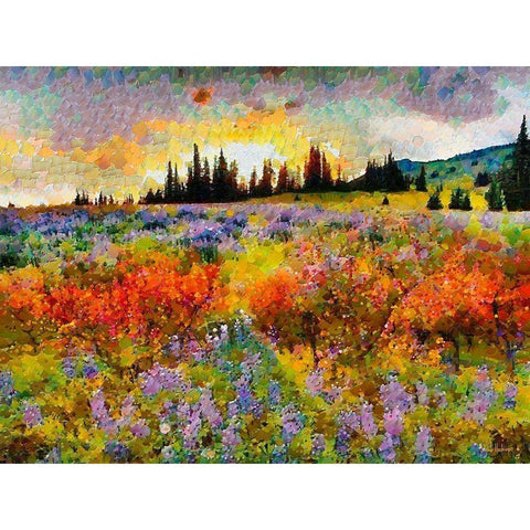 Sunset over the Meadow White Modern Wood Framed Art Print by Medeiros, Celito