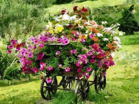 Carriage with Flowers White Modern Wood Framed Art Print with Double Matting by Medeiros, Celito