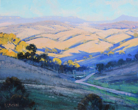 Afternoon Kanimbla Valley Australia Black Ornate Wood Framed Art Print with Double Matting by Gercken, Graham
