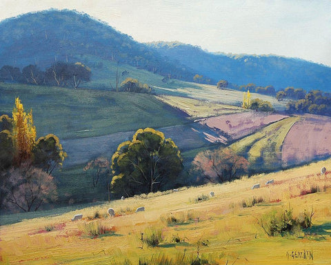 Afternoon Light Tarana Australia White Modern Wood Framed Art Print with Double Matting by Gercken, Graham