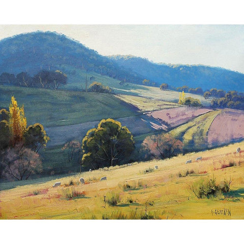 Afternoon Light Tarana Australia White Modern Wood Framed Art Print by Gercken, Graham