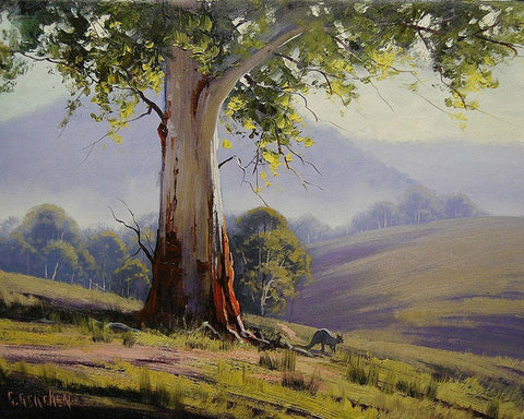 Australian Landscape White Modern Wood Framed Art Print with Double Matting by Gercken, Graham