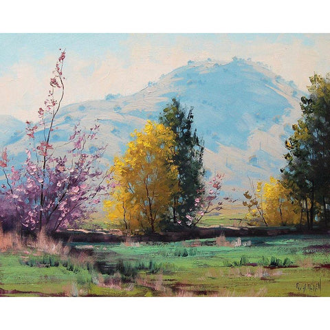 Apring Australia  Black Modern Wood Framed Art Print with Double Matting by Gercken, Graham