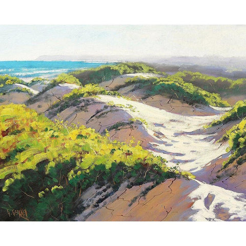 Light Across The Dunes Black Modern Wood Framed Art Print by Gercken, Graham