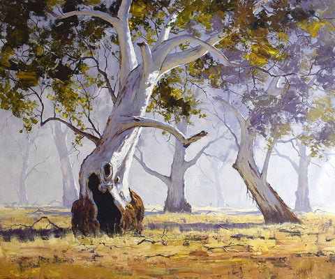 Gum Tree White Modern Wood Framed Art Print with Double Matting by Gercken, Graham