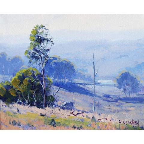 Early Light Nerar Mudgee Black Modern Wood Framed Art Print with Double Matting by Gercken, Graham