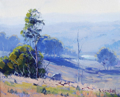Early Light Nerar Mudgee White Modern Wood Framed Art Print with Double Matting by Gercken, Graham