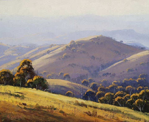 Megalong Valley Hill Scape Black Ornate Wood Framed Art Print with Double Matting by Gercken, Graham