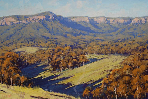 Megalong Valley  Black Ornate Wood Framed Art Print with Double Matting by Gercken, Graham