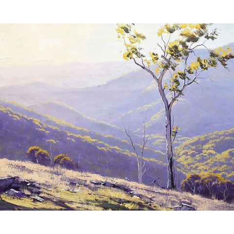 Afternoon Light Baathurst Gold Ornate Wood Framed Art Print with Double Matting by Gercken, Graham