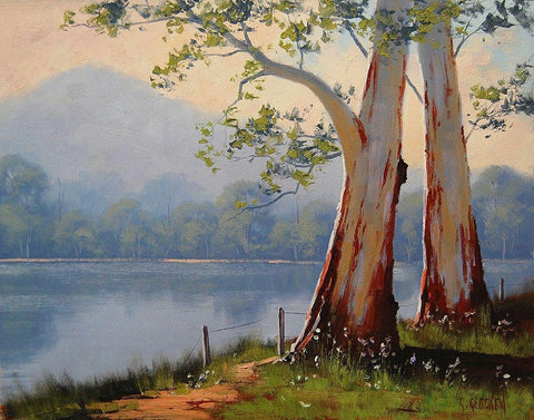 Lake Trees White Modern Wood Framed Art Print with Double Matting by Gercken, Graham