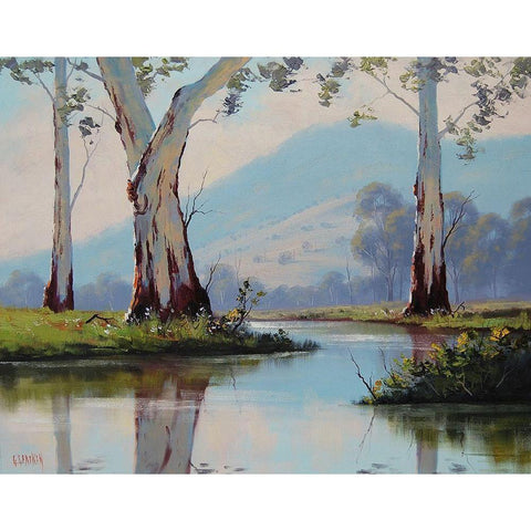 Majestic Gums White Modern Wood Framed Art Print by Gercken, Graham