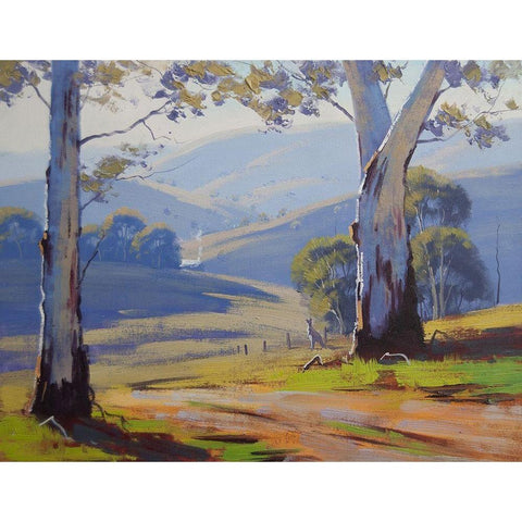Valley Gums Black Modern Wood Framed Art Print with Double Matting by Gercken, Graham