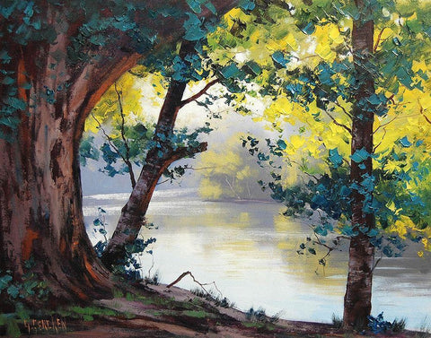 Tumut River NSW White Modern Wood Framed Art Print with Double Matting by Gercken, Graham