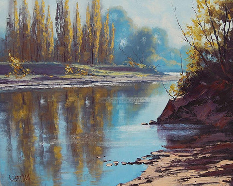 Tumut River Reflections Black Ornate Wood Framed Art Print with Double Matting by Gercken, Graham
