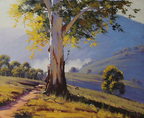 Tumut Hills Gum Tree Black Ornate Wood Framed Art Print with Double Matting by Gercken, Graham