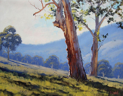 Tumut Gum Trees Black Ornate Wood Framed Art Print with Double Matting by Gercken, Graham