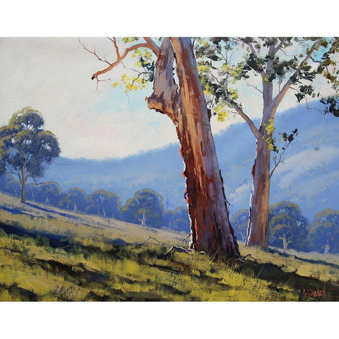 Tumut Gum Trees Black Modern Wood Framed Art Print by Gercken, Graham