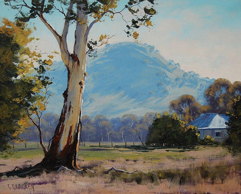 Tumut Landscape Australia Black Ornate Wood Framed Art Print with Double Matting by Gercken, Graham