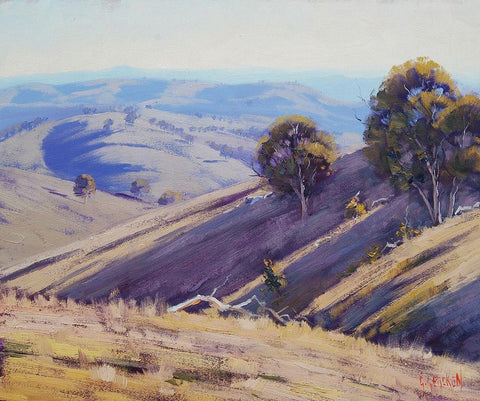 Summer Shadows Australia Black Ornate Wood Framed Art Print with Double Matting by Gercken, Graham