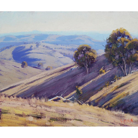 Summer Shadows Australia Black Modern Wood Framed Art Print by Gercken, Graham