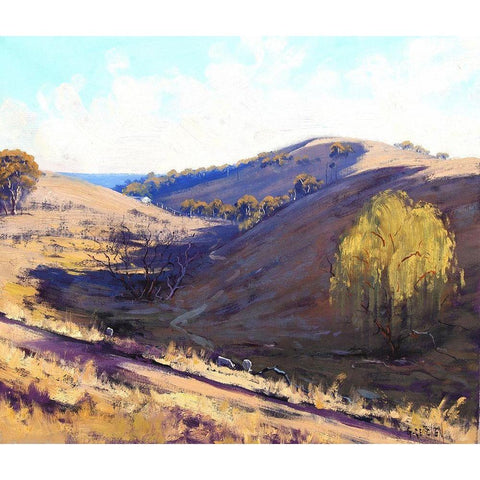 Summer Shadows Kanimbla Black Modern Wood Framed Art Print with Double Matting by Gercken, Graham