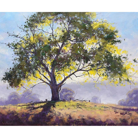 Sofala Gum Black Modern Wood Framed Art Print by Gercken, Graham