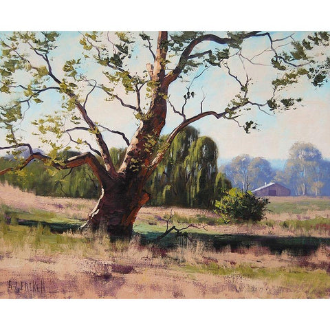 Summer Trees Black Modern Wood Framed Art Print by Gercken, Graham